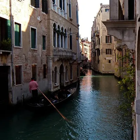 Carbona Venice